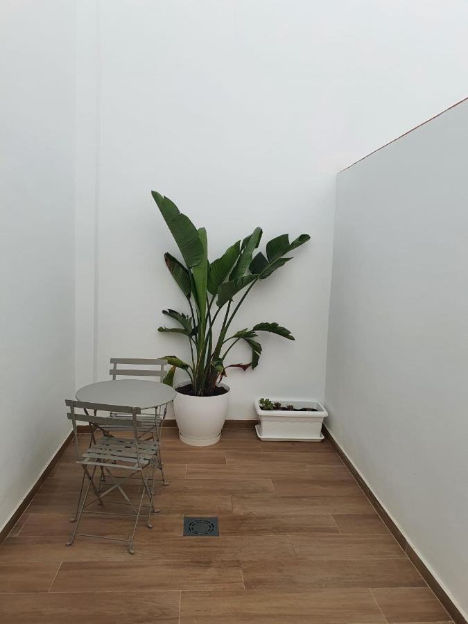 Apartamento Nuevo En Planta Baja A Con Piscina Y Solarium Barbate Exteriér fotografie